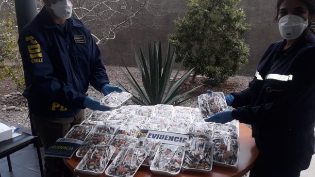 Arica: Mujer fue sorprendida ingresando ilegalmente al país cerca de 20 kilos de productos marinos