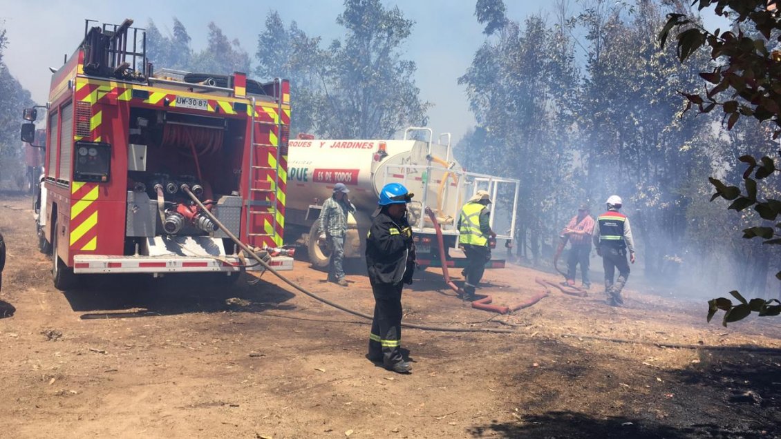 Dos incendios forestales afectan a la Provincia de Marga Marga