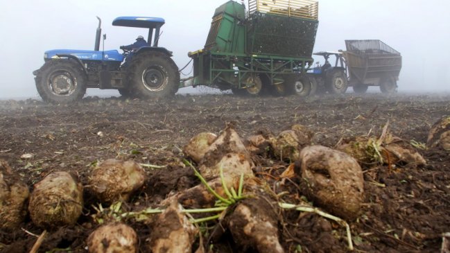 Ñuble: Pequeños y medianos agricultores fueron capacitados en normas de legislación laboral