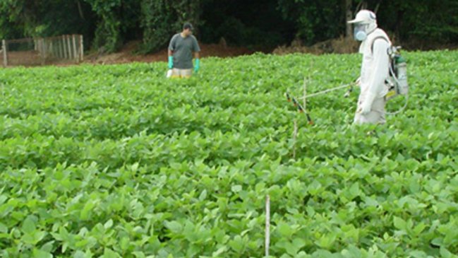 Más de 30 personas resultaron intoxicadas por el uso de plaguicida cerca de un colegio de Peumo
