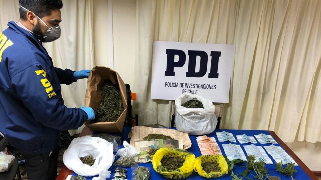 PDI de Los Vilos incautó más de 90 millones de pesos en droga