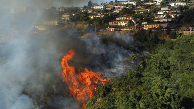 Diputado Díaz suscribió alianza con expertos para capacitar en prevención de incendios forestales