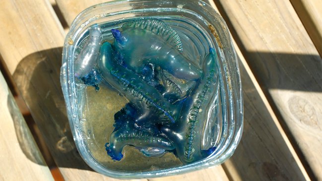 Presencia de fragata portuguesa en Tomé obligó a cerrar dos playas