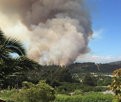 Quintero: Incendio en Mantagua consume 20 hectáreas y se presume origen en falla eléctrica