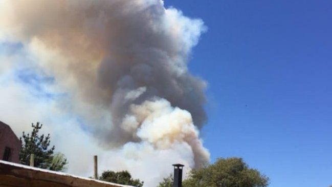 Conaf: Incendios de Quintero y Valparaíso están próximos a ser controlados