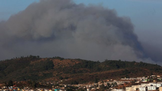 Experto entrega consejos para prevenir incendios forestales