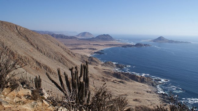 Muertes de especies nativas reactivan polémica por carretera en Pan de Azúcar