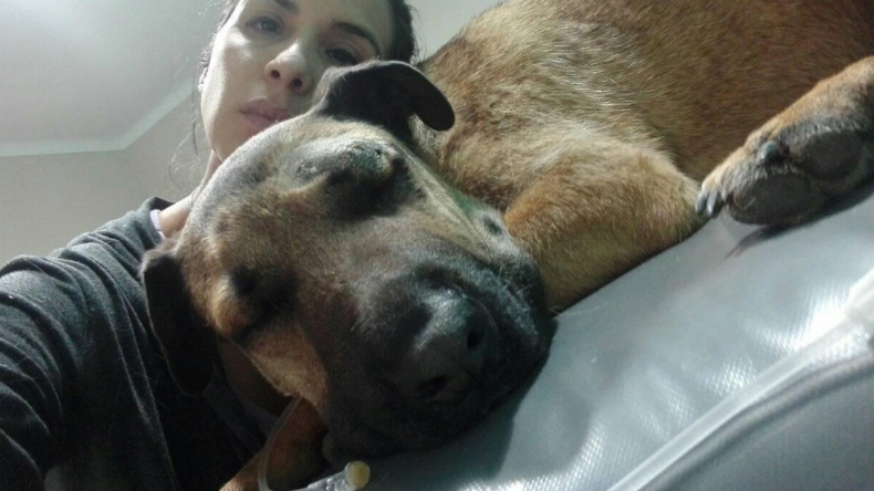 Perrito salvó a niños del ataque de una serpiente y casi lo paga con su vida