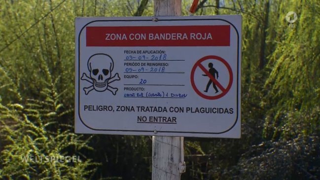 Medio alemán alertó que cultivos de avellanas en Chile usan pesticidas tóxicos