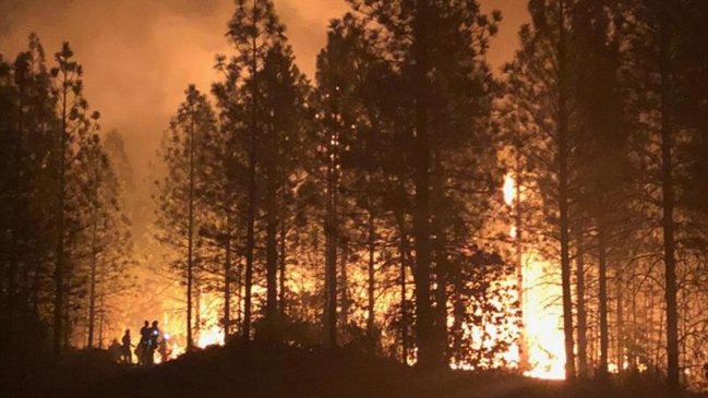 EEUU: Gobierno responsabiliza a grupos ecologistas por incendios en California