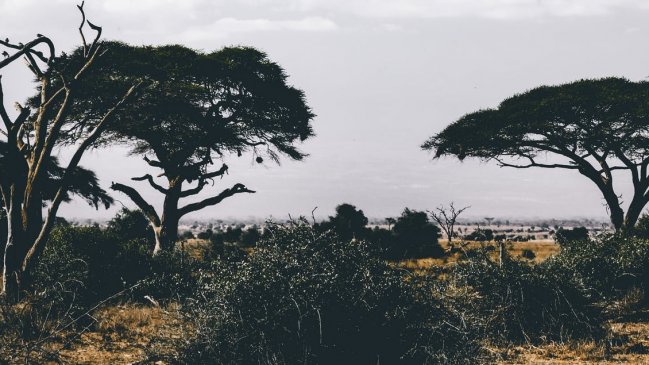 Hombres armados secuestraron a joven voluntaria italiana de una ONG en Kenia