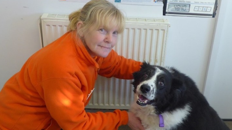 La triste historia del perrito gordo que no cabía en un refugio