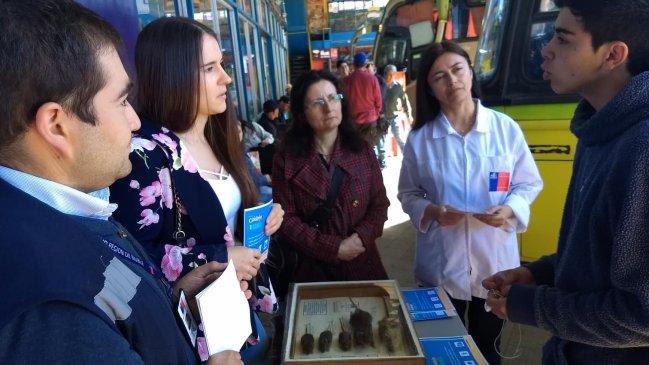 Ñuble: Inician campaña de difusión de medidas preventivas contra el Hantavirus
