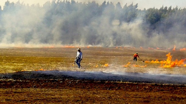 Conaf Biobío capacitó a 220 carabineros para prevenir y combatir incendios forestales