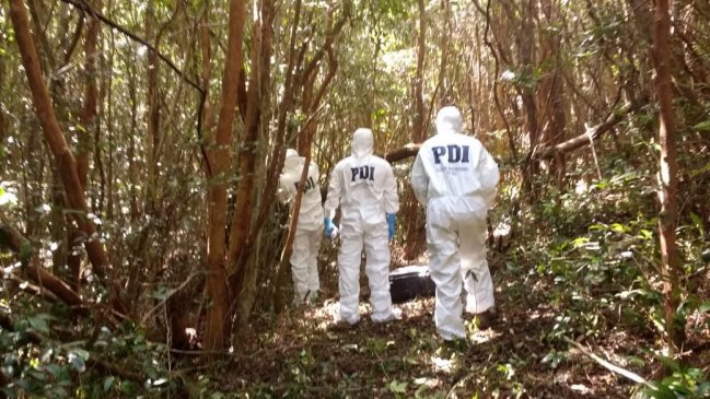 Hallan sin vida a adulto mayor desaparecido hace una semana en Puerto Montt