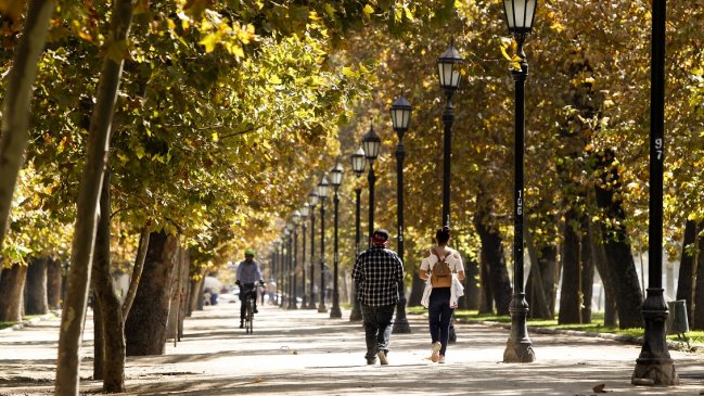 Denuncian brutal ataque de ciclista en Providencia: Víctima deberá ser operada