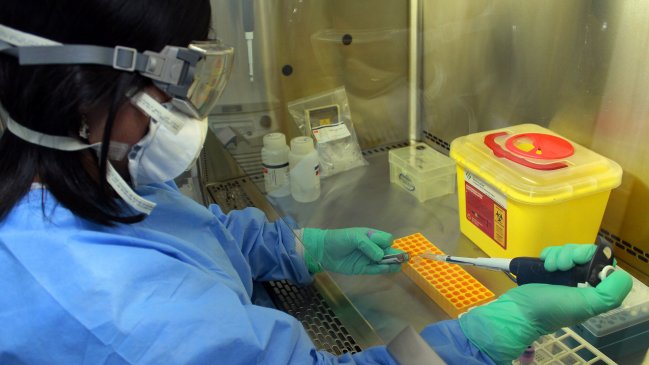 Ñuble: Confirman contagio de hanta en mujer de San Nicolás