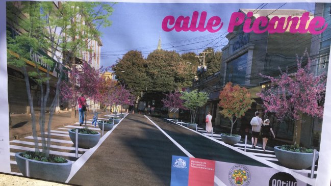 Eliminarán estacionamientos en calles del centro de Valdivia