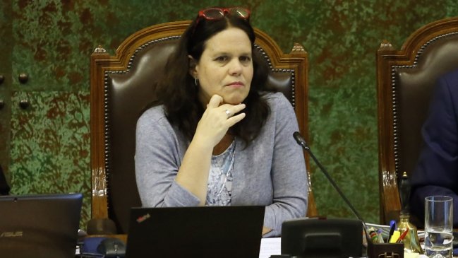 Maya Fernández: Éste es el periodo en que más disminuyeron los viajes de diputados