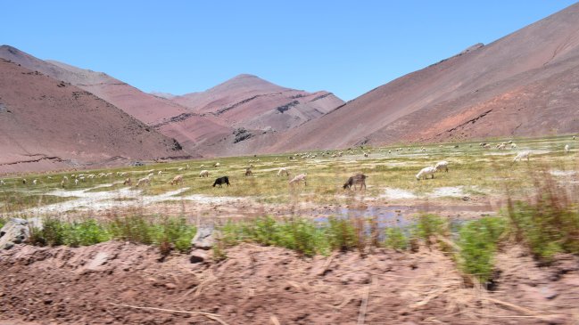Intendente reconoce falencias para convertir Atacama en destino para turismo aventura