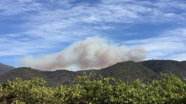 Decretan alerta roja en Melipilla por incendio forestal