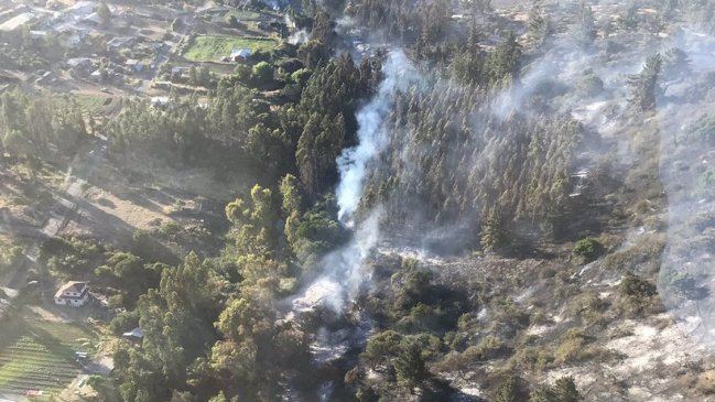 Incendio consumió más de 50 hectáreas en Santo Domingo