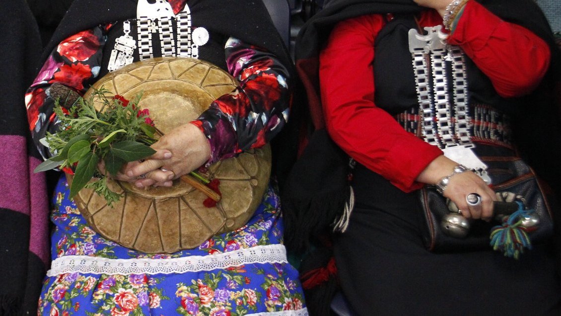 Comunidad mapuche interpuso recurso para evitar ser desalojada