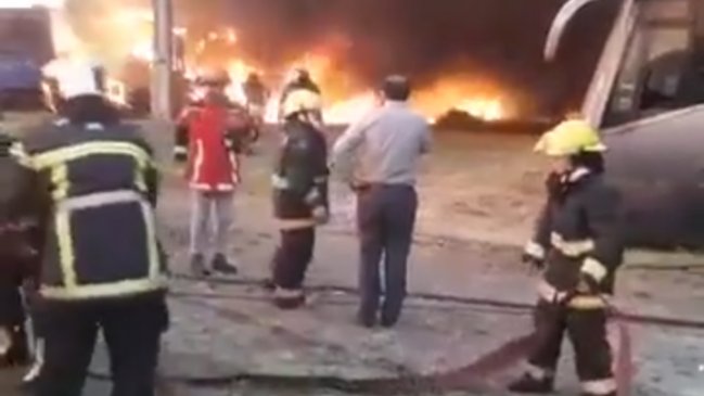 Chillán: Incendio destruyó 15 buses en desuso