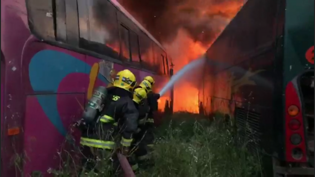 Chillán: Inician sumario sanitario contra empresa que perdió 15 buses en incendio