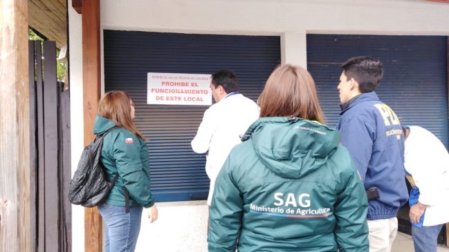 Decomisan carne en mal estado y clausuran supermercado en Paillaco