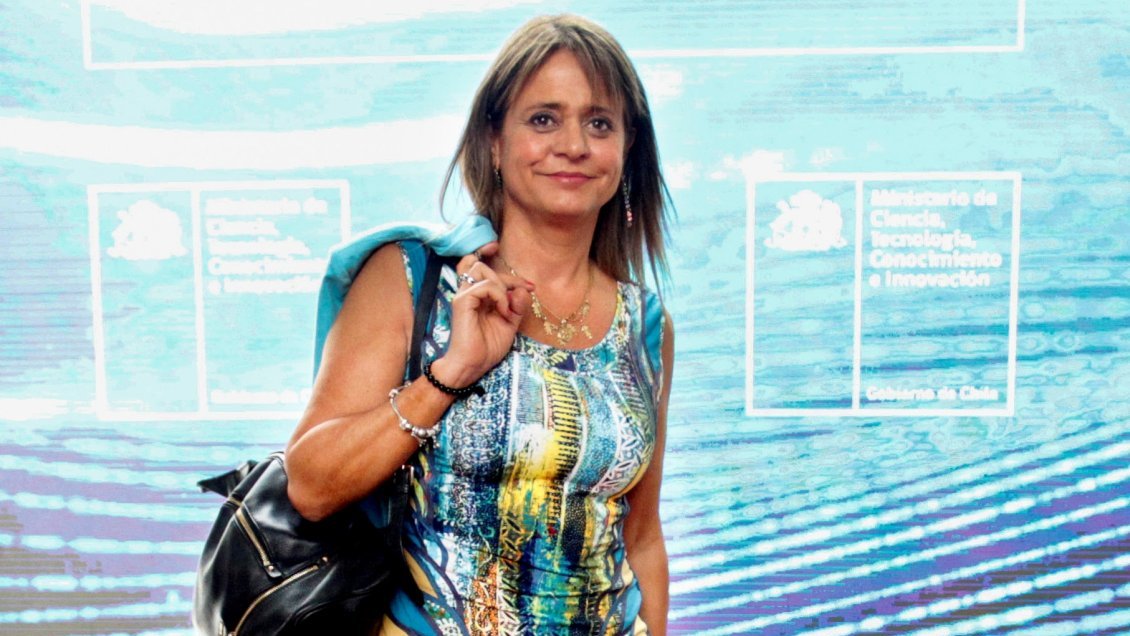 Van Rysselberghe solicitará a Macaya incorporarse a la mesa directiva de la UDI