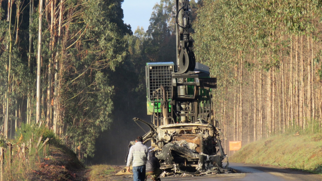 Gremio forestal no paralizará por falta de acuerdo entre asociados