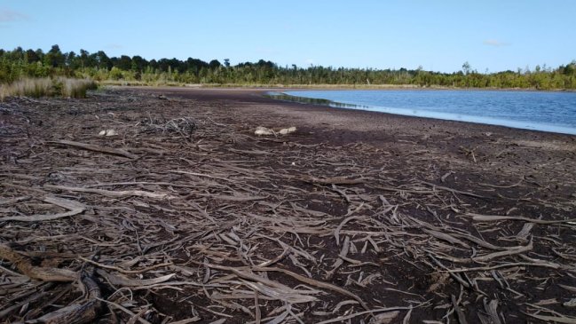 Laguna de Calbuco se está secando y vecinos responsabilizan a dueño de predio colindante