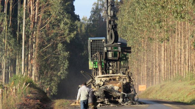 Gremio forestal no paralizará por falta de acuerdo entre asociados