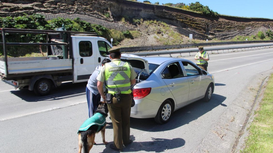 Carabineros, la PDI y la Armada extremarán seguridad en el ingreso a Chiloé