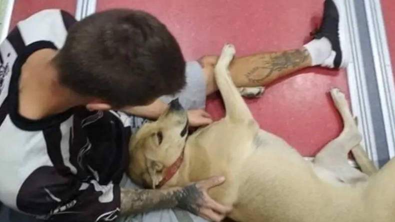 Funan a policía que mató a perro frente a su amo en España