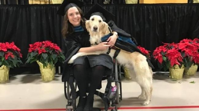 Perrito se tituló con honores en universidad: Acompañaba todos los días a joven
