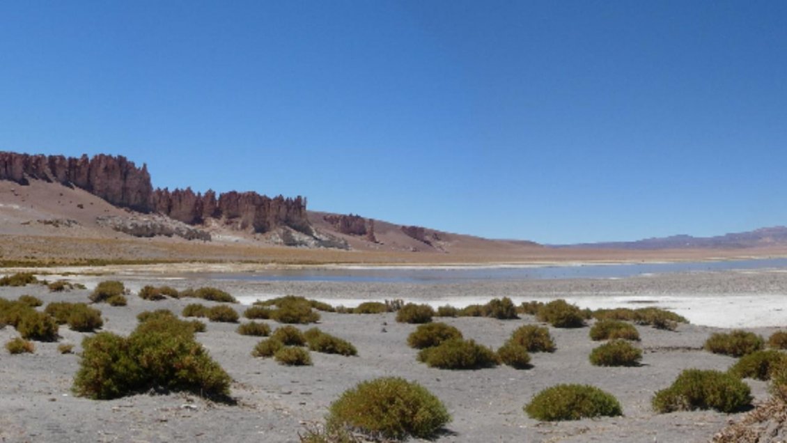 Implementarán permisos ecoturísticos en Reserva Nacional Los Flamencos