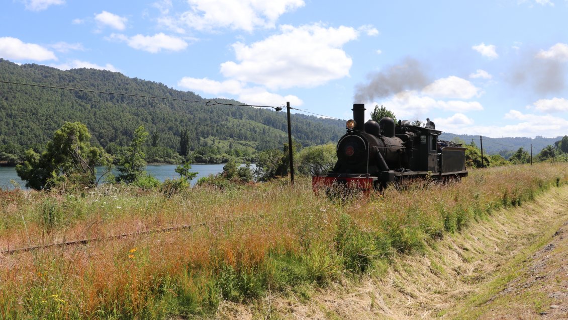 Una persona falleció atropellada por el tren 