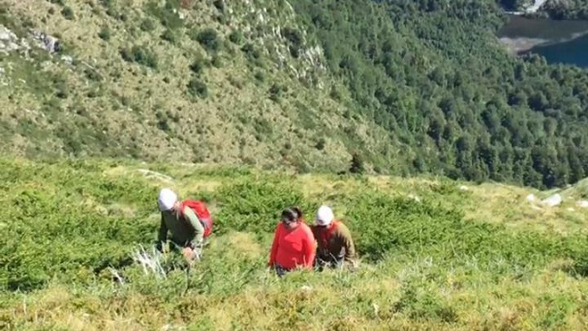 Hallan con vida a tres excursionistas perdidos desde ayer en el Alto Biobío