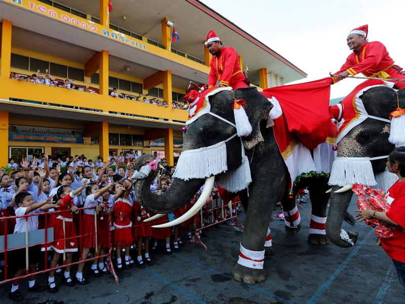 Fotos] Tailandia celebra la Navidad con elefantes vestidos de Viejitos  Pascueros 