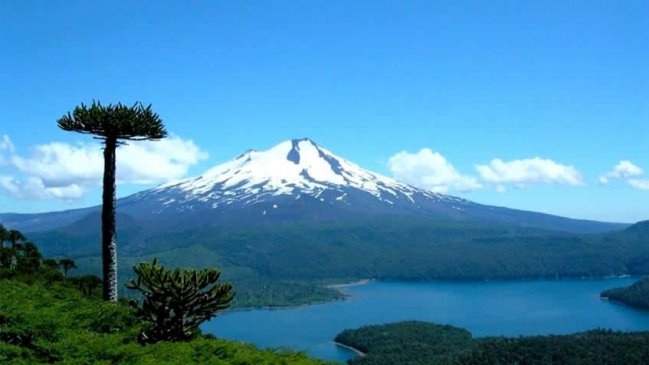 Nuevas empresas recibieron certificación de calidad turística en La Araucanía