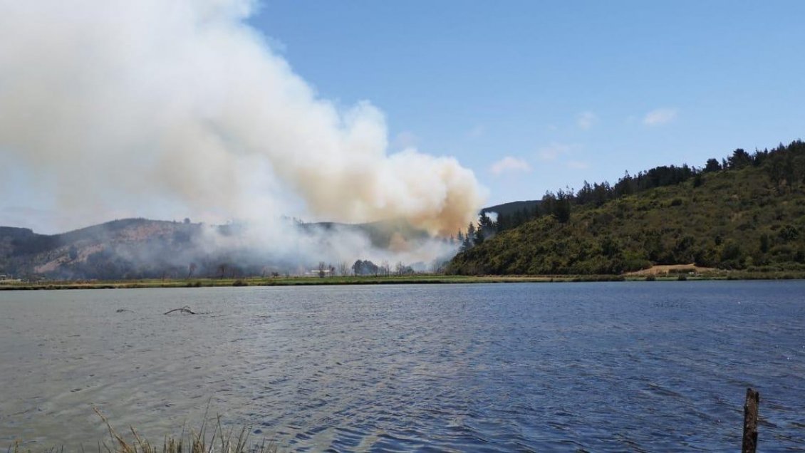 Fiscalía indaga origen de incendio forestal que afectó a Pichilemu