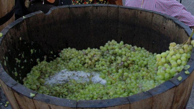 Viñateros amenazan con botar vino el la plaza de Chillán