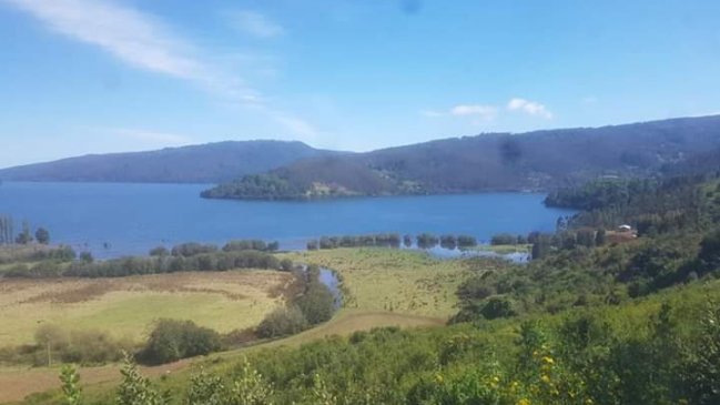 Comunidad mapuche de Contulmo recibió terreno recuperado en juicio contra Forestal Arauco