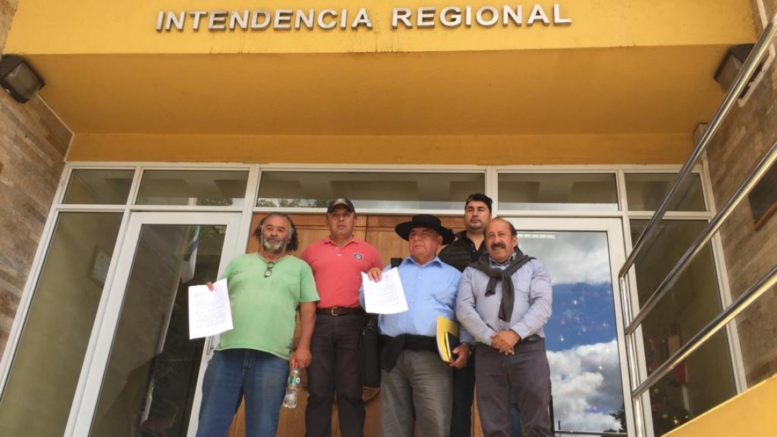 Comunidades mapuche de Los Ríos envían carta a Piñera y se cuadran con Temucuicui