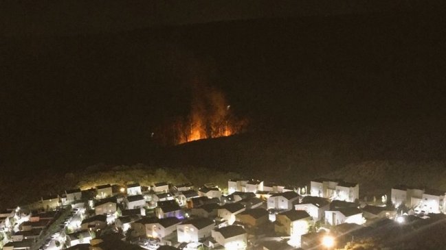 Incendio forestal alertó a sector residencial de Reñaca