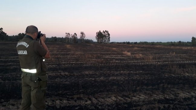 Detuvieron a presunto autor de incendio forestal de San Javier
