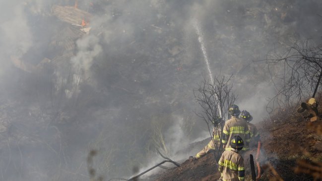 Conaf contabiliza 66 incendios forestales en los dos primeros días del año