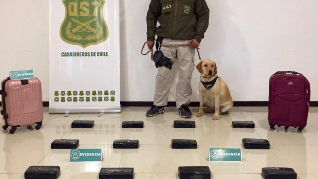 La Serena: Dos mujeres portaban 75 millones de pesos en pasta base